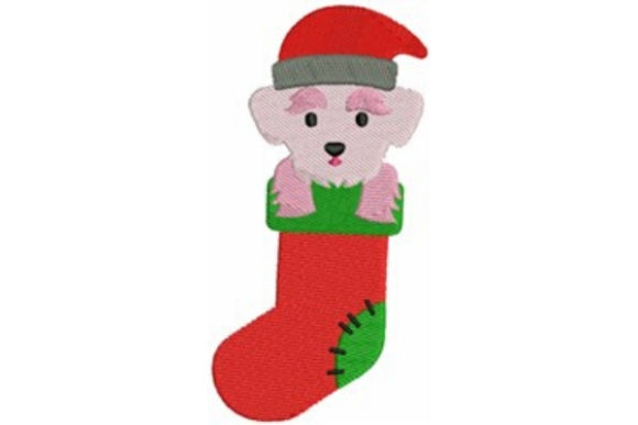 Christmas Maltese Review