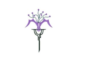 Queen Lunaria Orchid