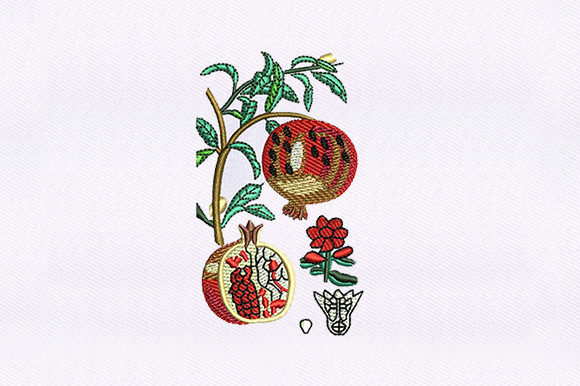 Vines Pomegranate Embroidery